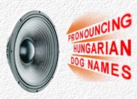 How to pronounce Hungarian dog names